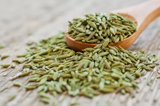 گیاه رازیانه با نام علمی  Foeniculum vulgareو نام عمومی Fennel، از جمله گیاهان پرمصرف در طب سنتی و گیاهی به حساب می‌آید. برخی از مستندات علمی حاکی از اثر احتمالی این گیاه در کنترل کرامپ‌های دوره قاعدگی می‌باشد. به نظر می‌رسد اثرات این گیاه مشابه اثر ایبوپروفن و مفنامیک می‌باشد.