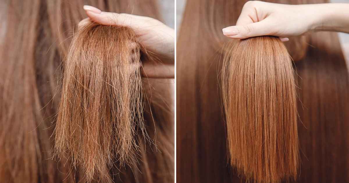 داشتن موهای زیبا یکی از معیارهای زیبایی در نظر افراد است. خشکی مو، یکی از عارضه‌هایی که ممکن است فرد در هر سنی با آن روبه‌رو شود. به همین منظور، یافتن راه و روشی برای درمان خانگی خشکی مو می‌تواند در درمان و پیشگیری از ابتلا به این عارضه مفید باشد.