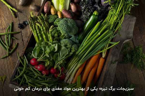 برخی توصیه های غذایی کلی وجود دارد که می تواند به بهبود کم خونی شما کمک کند.در ادامه بر اساس نوع کمبود بدن (برای مثال کمبود آهن، ویتامین ب ۱۲ و…) به شما بهترین غذاها برای کم خونی پیشنهاد داده می شود.
