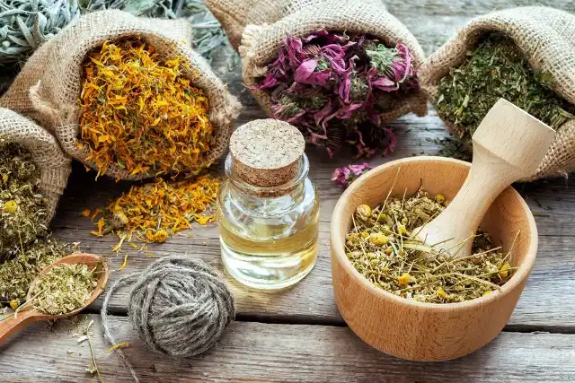 خواص درمانی گیاهان دارویی 