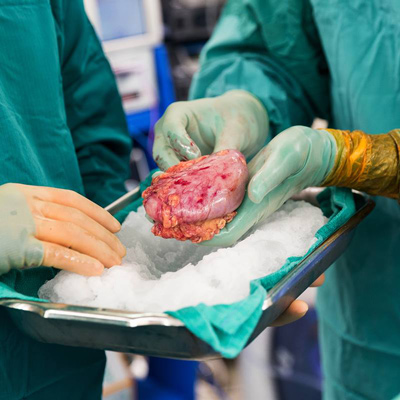 نارسایی و مشکلات کلیه ممکن است هر فردی را درگیر کنند. این بیماری‌ها ممکن است با دارو قابل‌کنترل باشند، اما در شرایطی که وضعیت فرد وخیم می‌شود، باید پیوند کلیه انجام بگیرد.