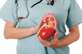 آنچه که باید درباره پیوند کلیه بدانید