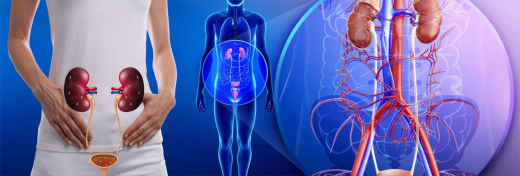 مشکلات مربوط به کلیه و مجاری ادراری گاهی آن‌قدر آزاردهنده می‌شوند که شما نمی‌توانید تشخیص دهید که باید به کدام پزشک با چه تخصصی مراجعه کنید. در چنین شرایطی افراد معمولا متخصصان نفرولوژی را با متخصصان اورولوژی اشتباه می‌گیرند.