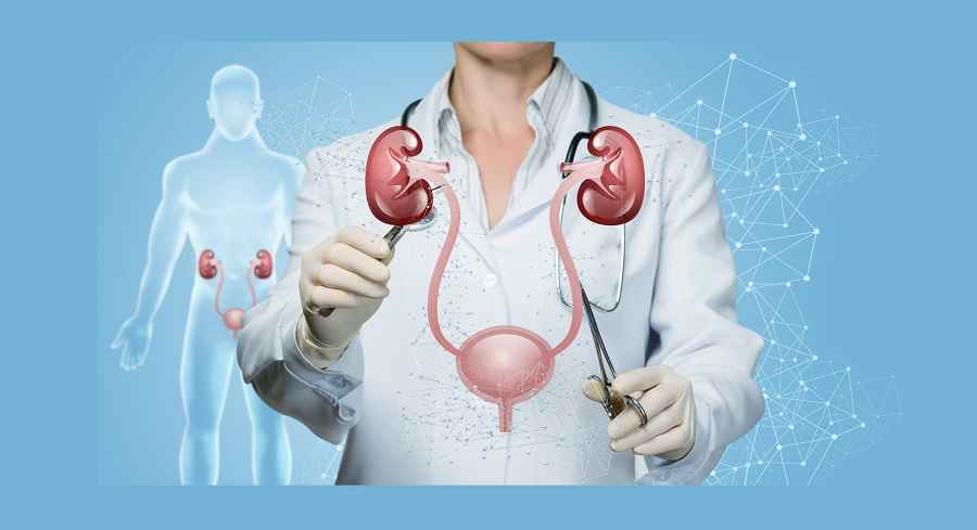 نفرولوژی چیست و تفاوت بین نفرولوژی و اورولوژی